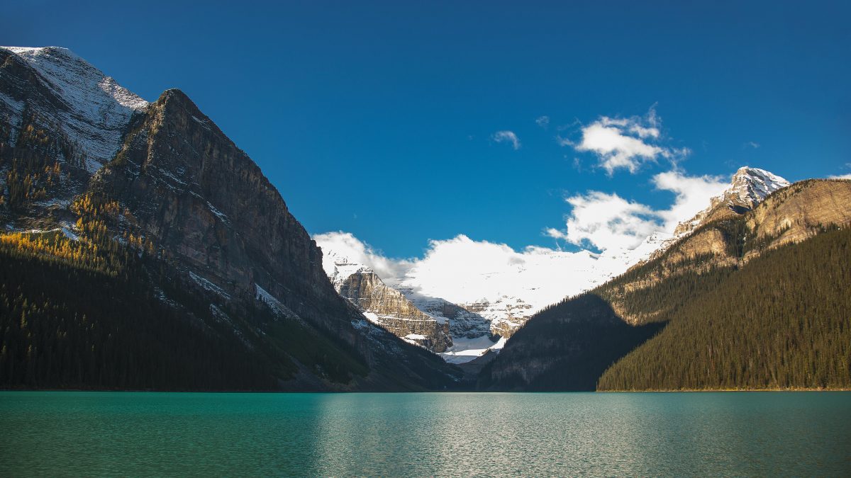 Photo by Harry Shum on Pexels