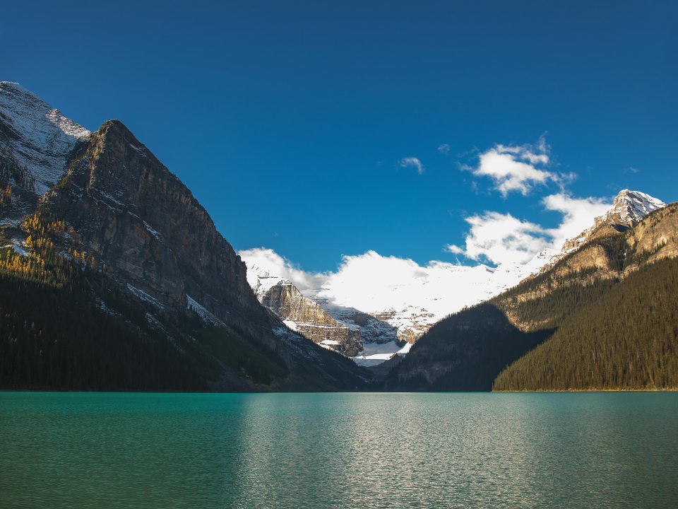 Photo by Harry Shum on Pexels