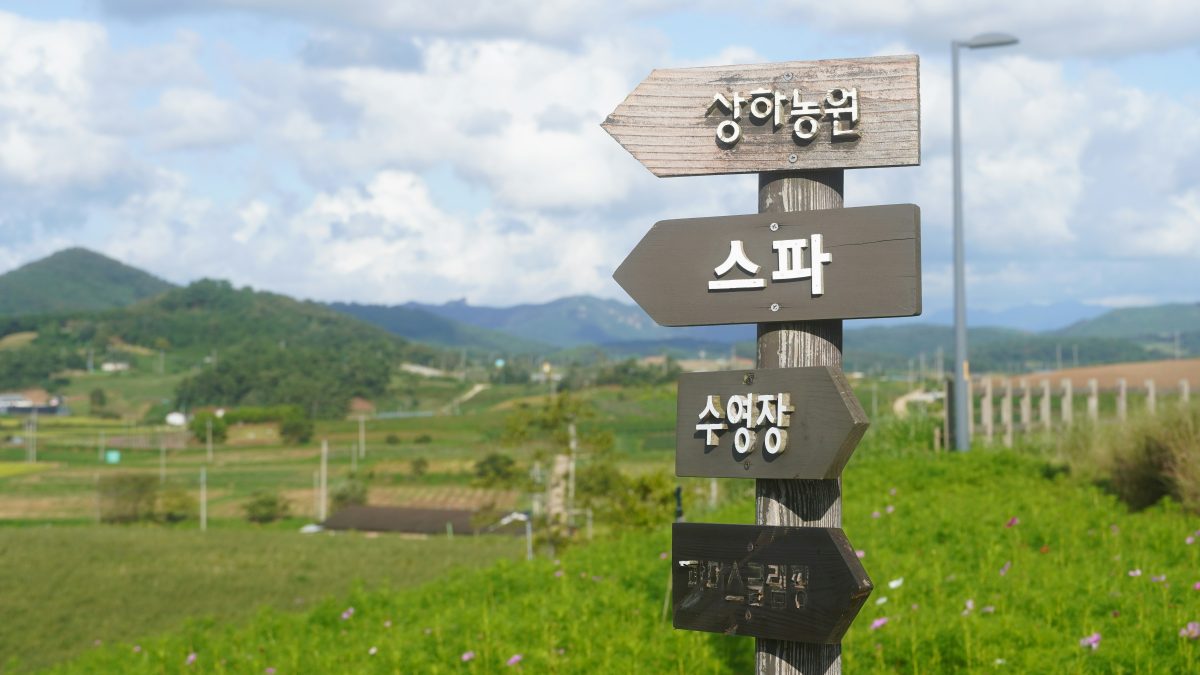 Photo by lifeinkorea on Unsplash