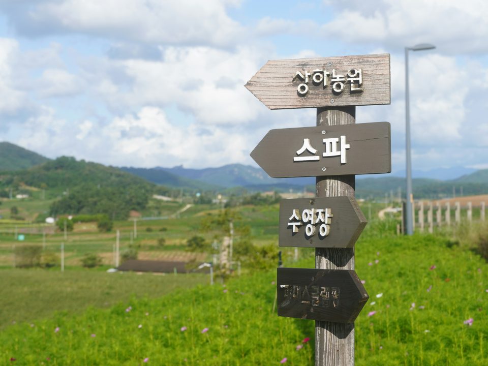 Photo by lifeinkorea on Unsplash