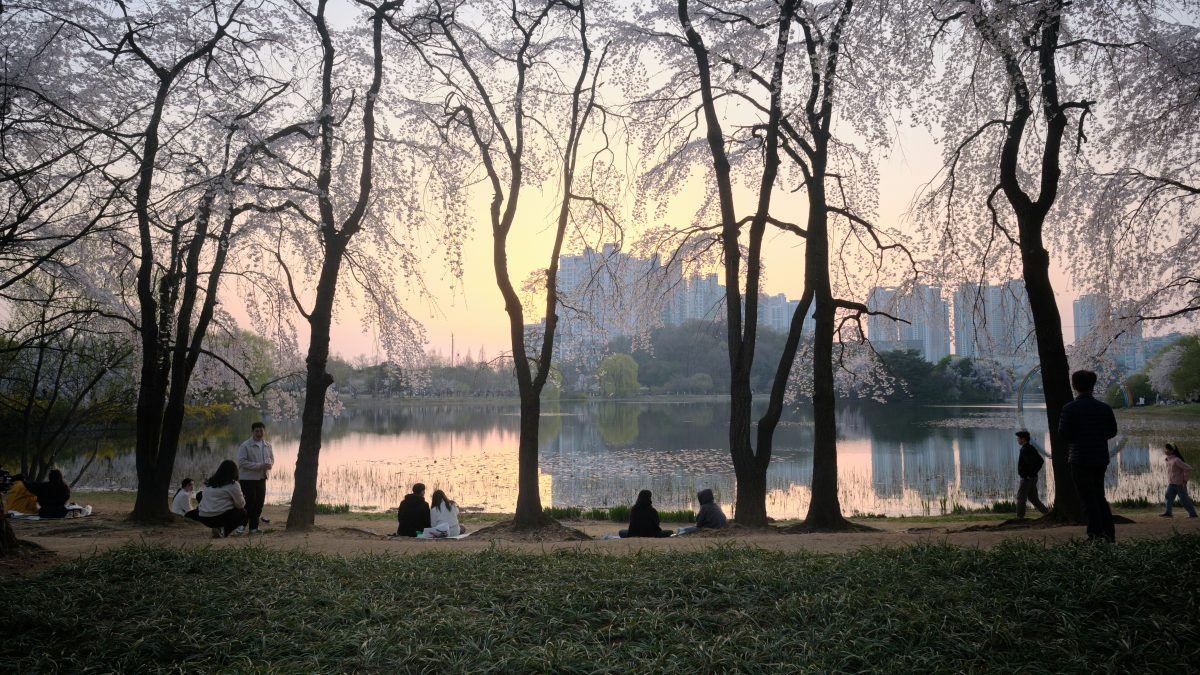 Photo by the1stcircle on Unsplash