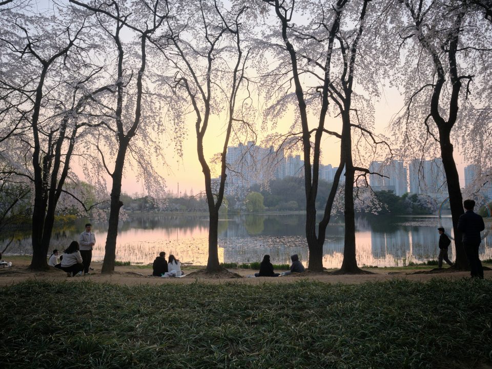 Photo by the1stcircle on Unsplash