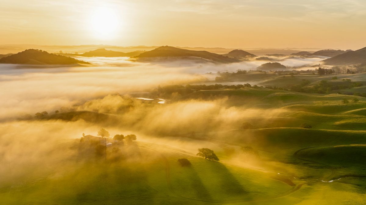 Photo by Zetong Li on Pexels
