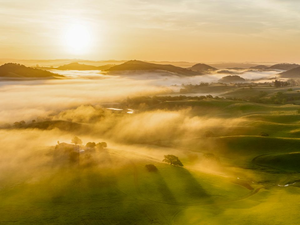 Photo by Zetong Li on Pexels
