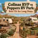 Colinas RVP vs Peppers RV Park: Best Fit for Long Stays